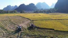 <b>村部南京农业机械化研究所副所长曹光乔引见</b>